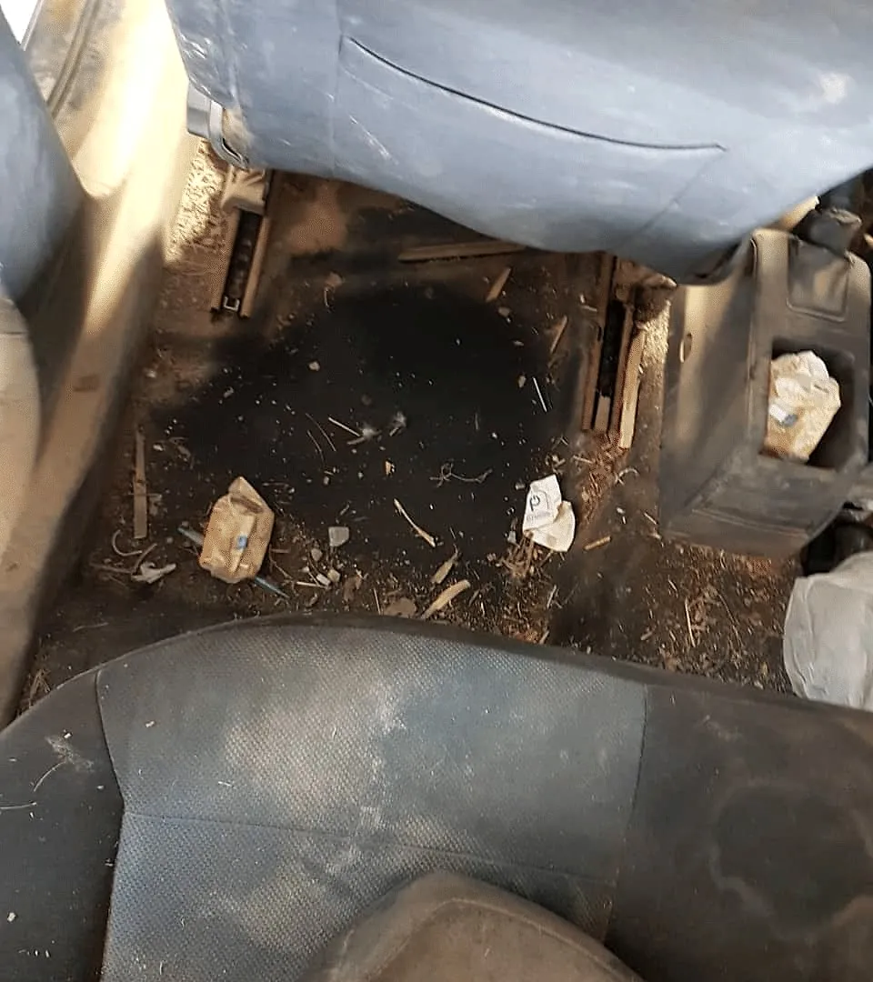 Suelo y moqueta de un coche llenos de suciedad antes de la limpieza